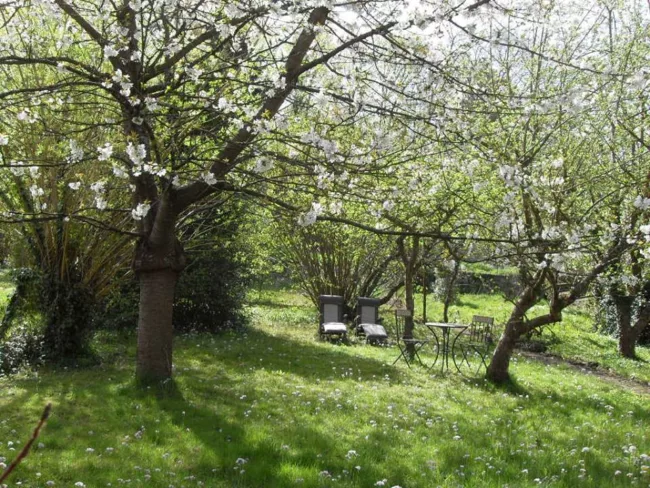extérieur jardin fleuris maison d'hôtes ludique et insolite Hastière Dinant Namur Belgique Cluedo B&B